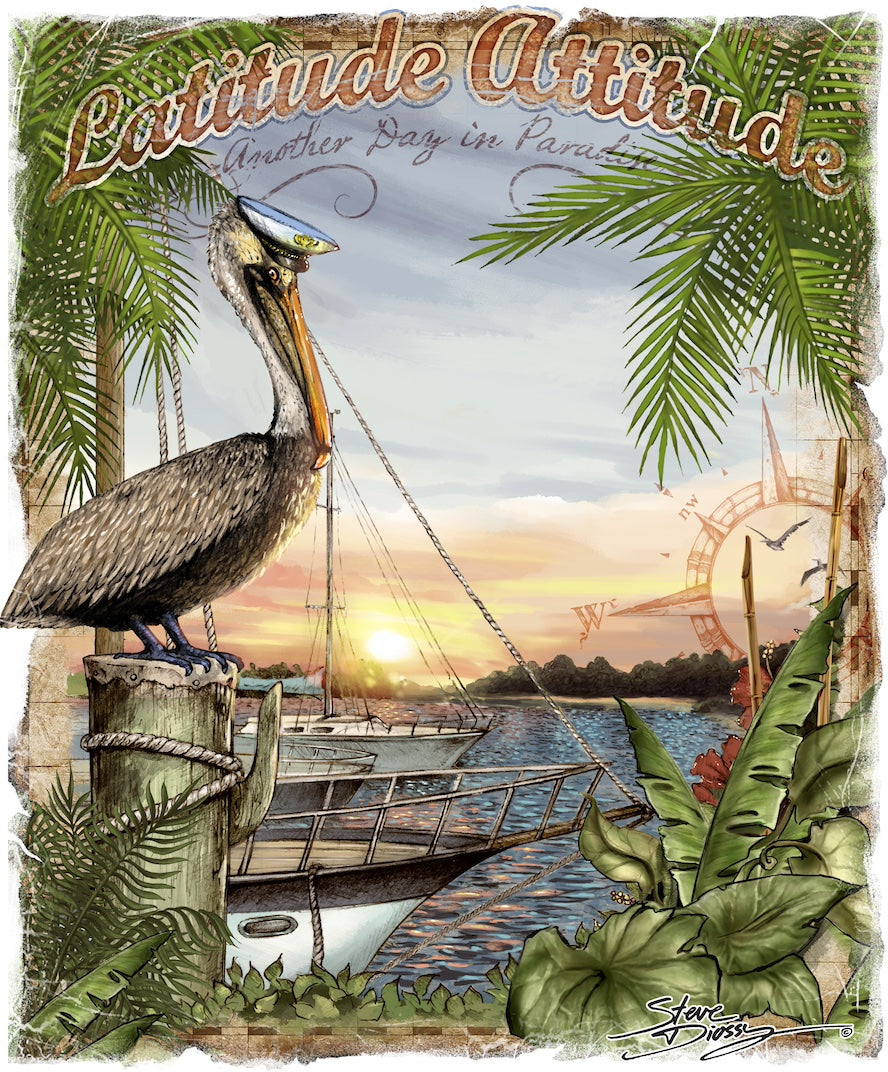 Latitude Attitude