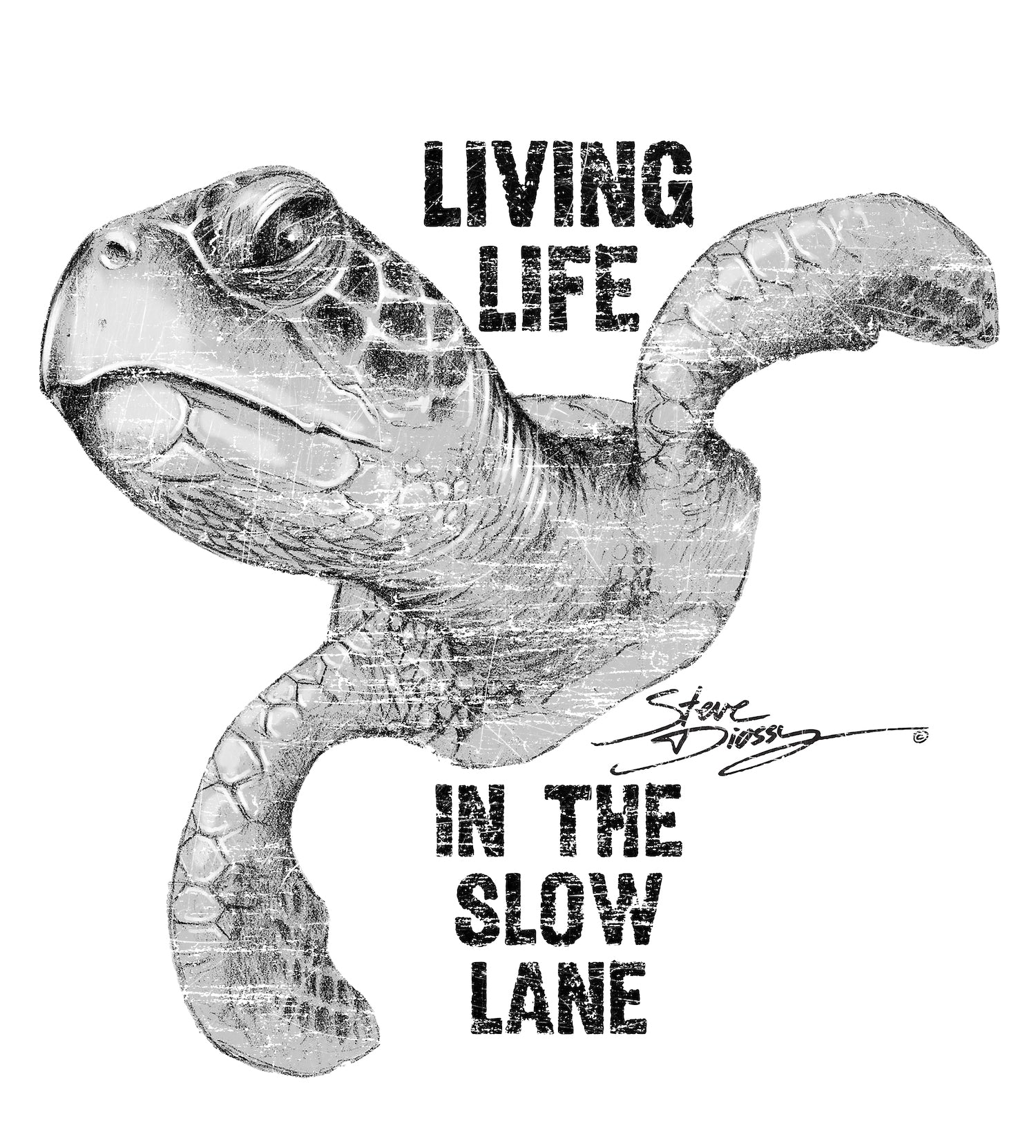 Slow Lane Turtle